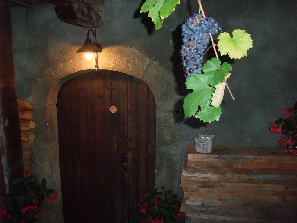 Tournon-sur-Rhône Le Domaine Du Grand Cellier Chambres D'Hotes En Savoie المظهر الخارجي الصورة