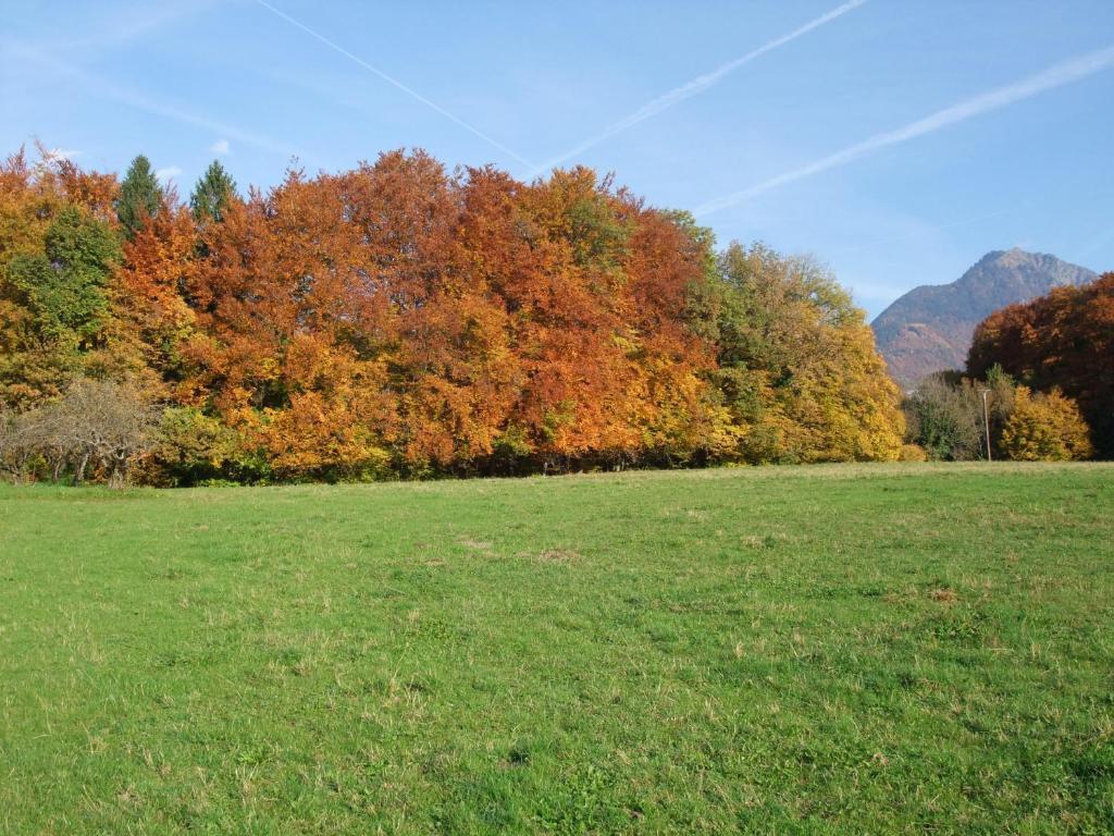 Tournon-sur-Rhône Le Domaine Du Grand Cellier Chambres D'Hotes En Savoie المظهر الخارجي الصورة