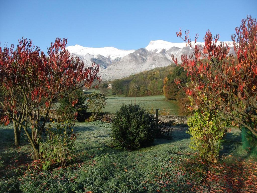 Tournon-sur-Rhône Le Domaine Du Grand Cellier Chambres D'Hotes En Savoie المظهر الخارجي الصورة